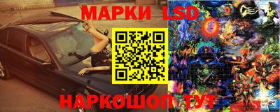 спиды Новокубанск