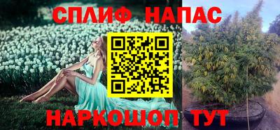 первитин Новодвинск