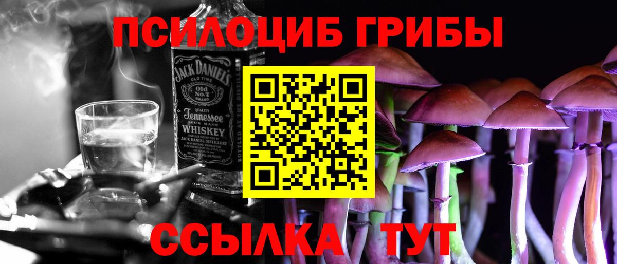 Псилоцибиновые грибы Cubensis Омск