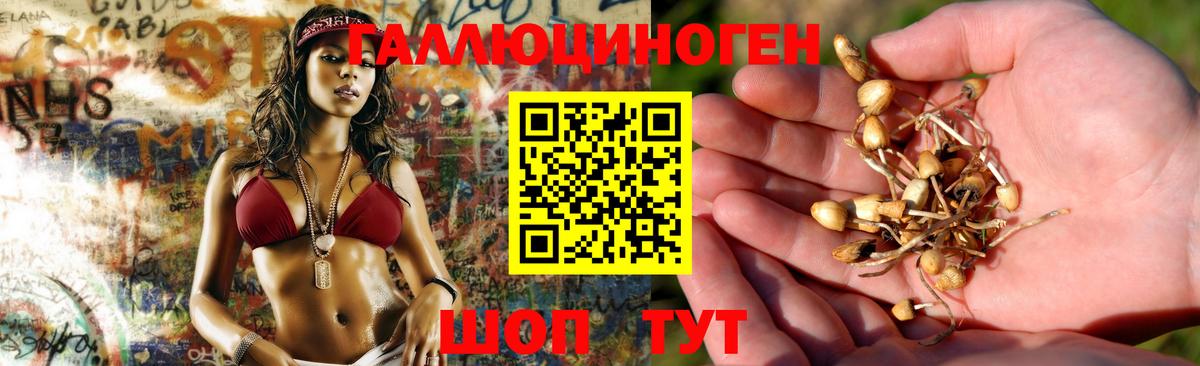дарнет шоп  Псилоцибиновые грибы мухоморы  Вход с VPN  Омск 